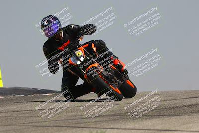 media/Aug-03-2025-TrackDaz (Sun) [[bf4a71acf9]]/C Group/1140am (Grapevine)/